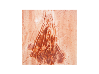 Ca 11-04-26
