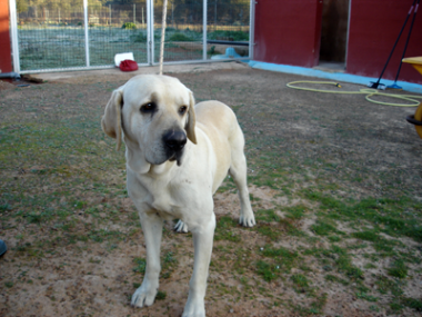 Cans 12-1-10