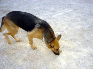 Cans 12-10-06
