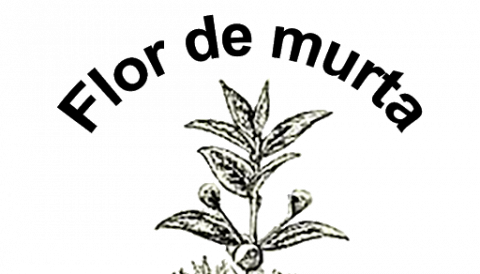 Flor de murta