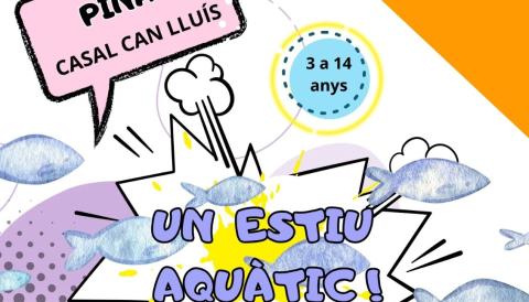 Cartell Escola d'Estiu a Pina