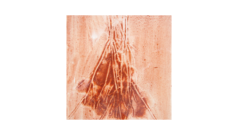 Ca 11-04-26