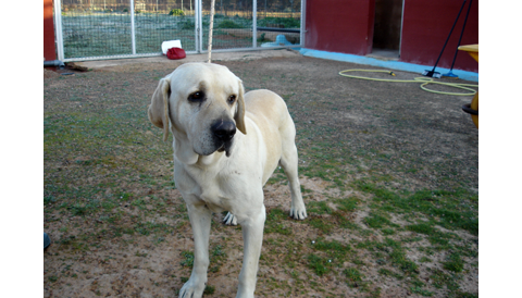 Cans 12-1-10