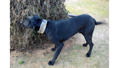 Cans 12-2-09