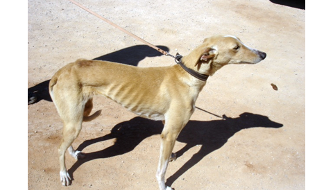 Cans 12-5-11