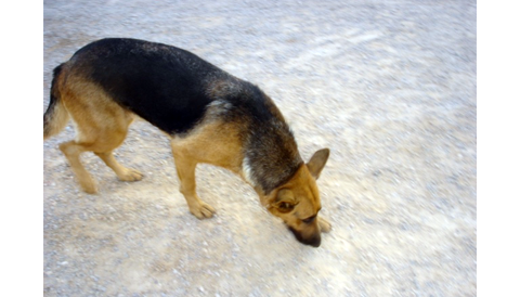 Cans 12-10-06